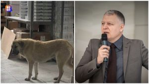საშინელი კადრები სამედიცინო მარაგების საწყობიდან — მტვერი, სიბინძურე და სრული უპასუხისმგებლობა! – გიორგი ფხაკაძე საყურადღებო ინფორმაციას აქვეყნებს